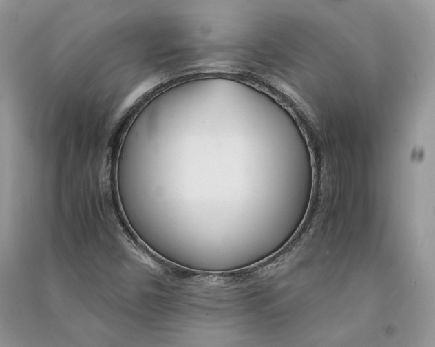 X0000090601450200708141320