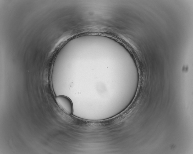 X0000090601451200708141320