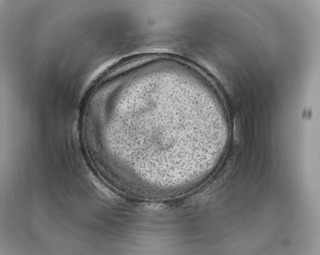 X0000090601452200708141320