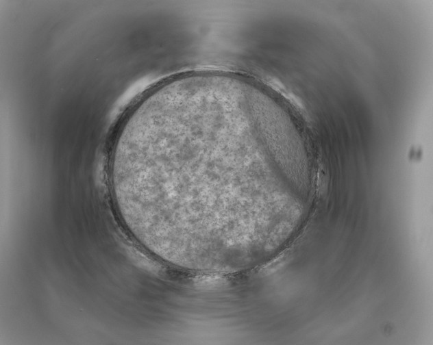 X0000090601454200708141320