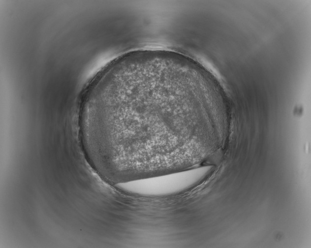 X0000090601456200708141320