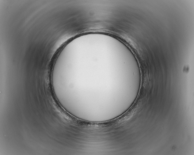 X0000090601458200708141320