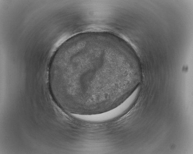 X0000090601459200708141320