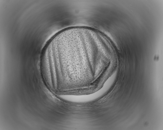 X0000090601460200708141320