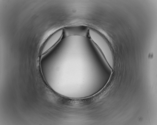 X0000090601461200708141320