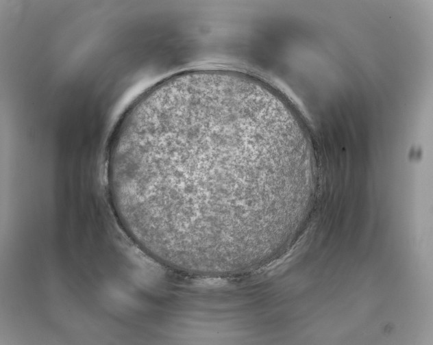 X0000090601462200708141320