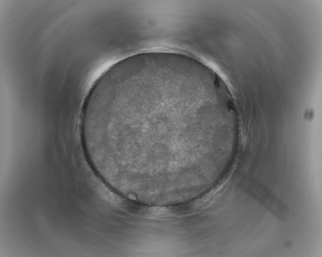 X0000090601463200708141320