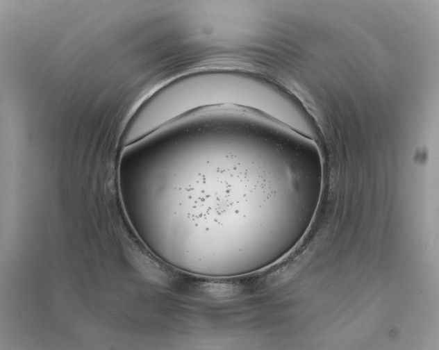 X0000090601465200708141320