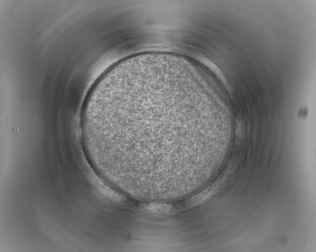 X0000090601466200708141320