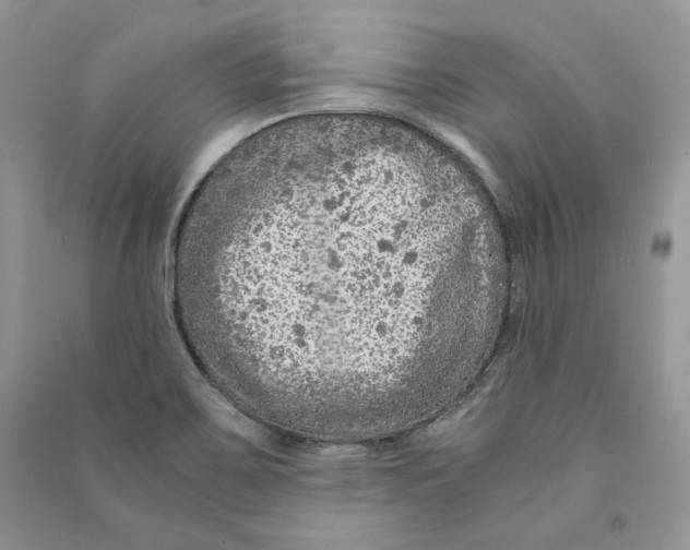 X0000090601467200708141320