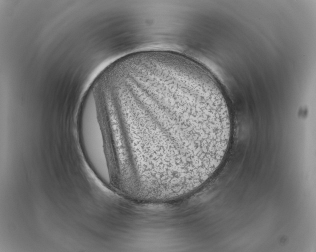 X0000090601468200708141320