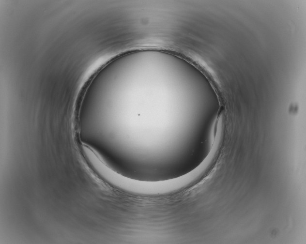 X0000090601469200708141320