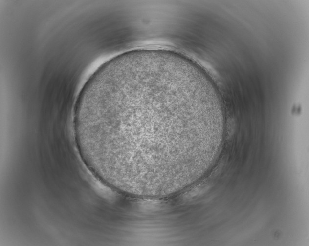 X0000090601470200708141320