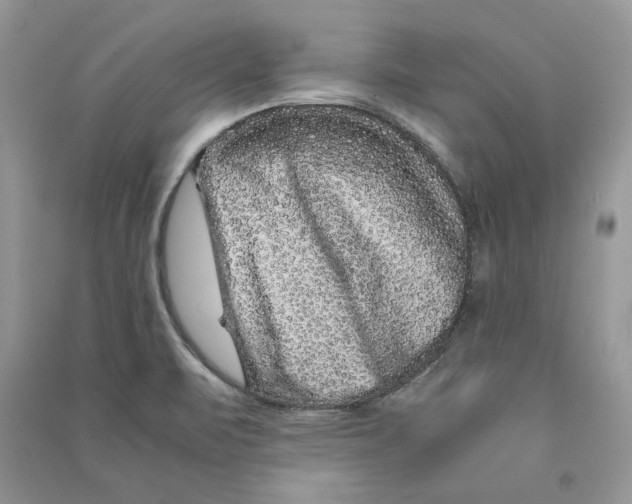 X0000090601471200708141320