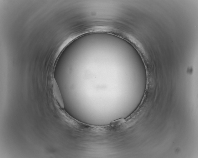 X0000090601473200708141320