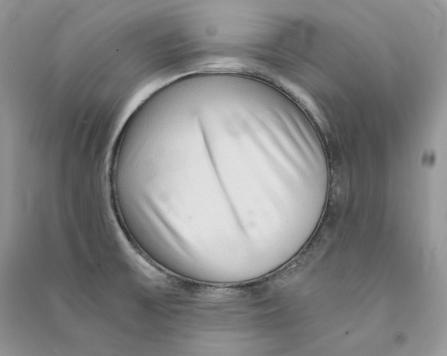 X0000090601475200708141320