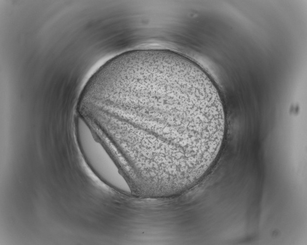 X0000090601476200708141320