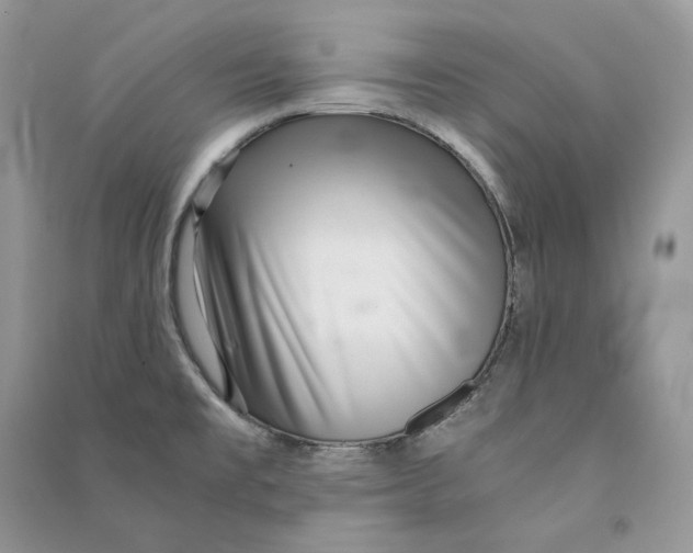 X0000090601477200708141320