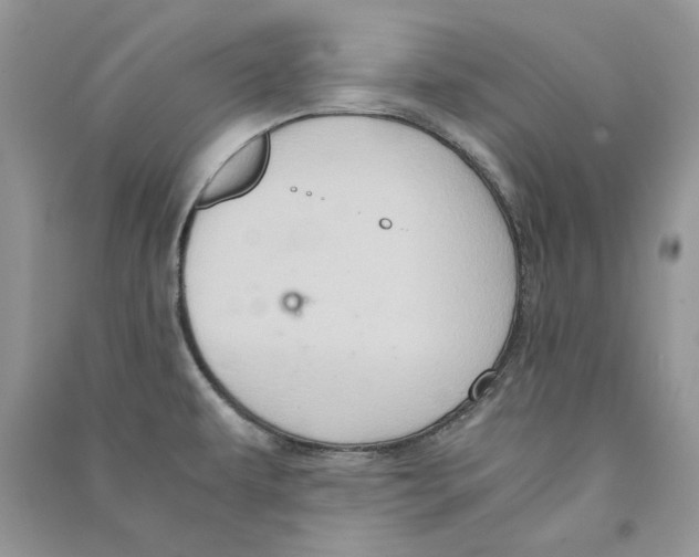 X0000090601479200708141320