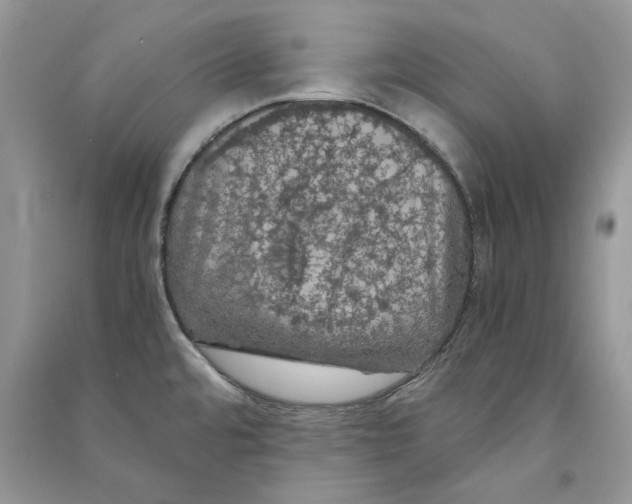 X0000090601480200708141320