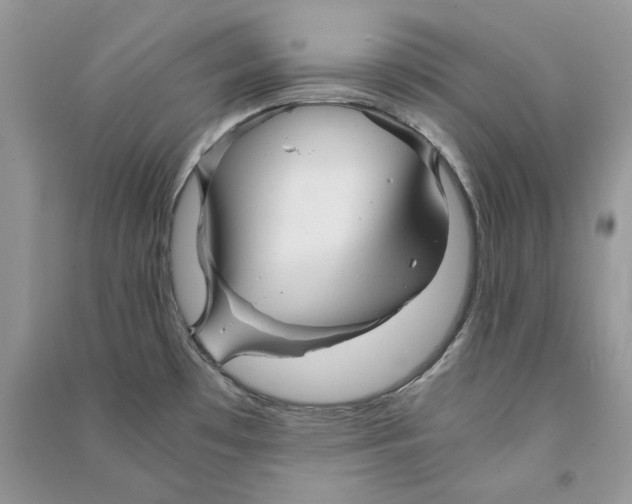 X0000090601481200708141320