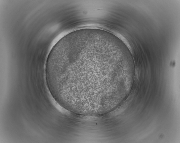 X0000090601482200708141320