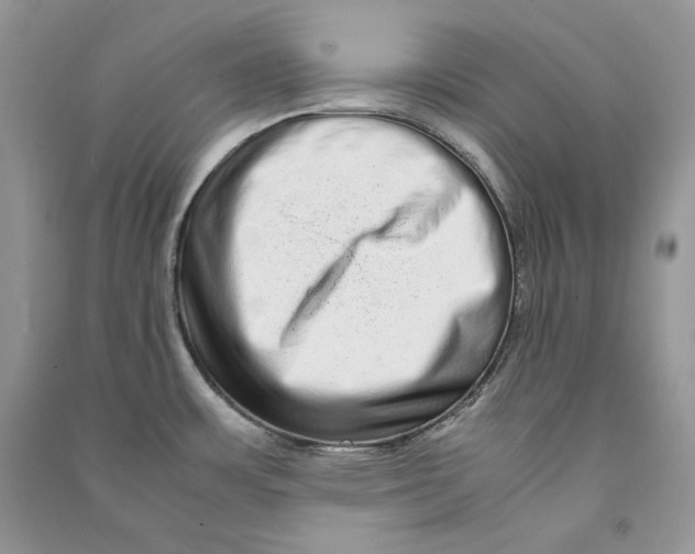 X0000090601483200708141320