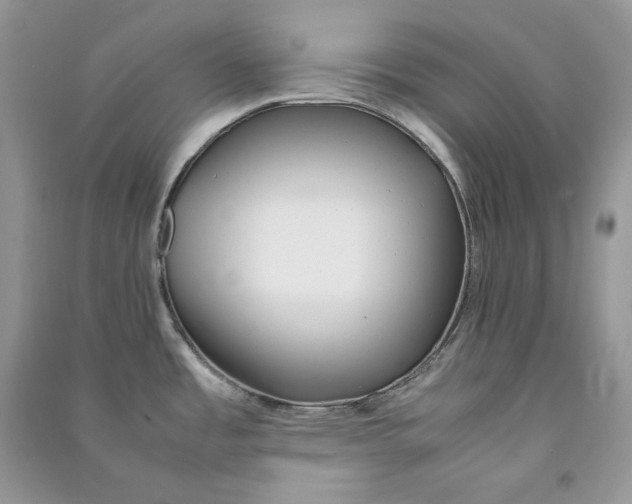 X0000090601485200708141320