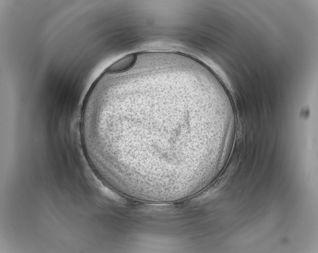 X0000090601486200708141320