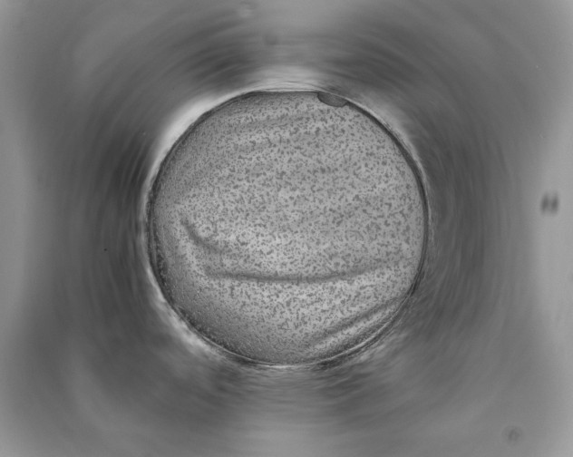 X0000090601488200708141320