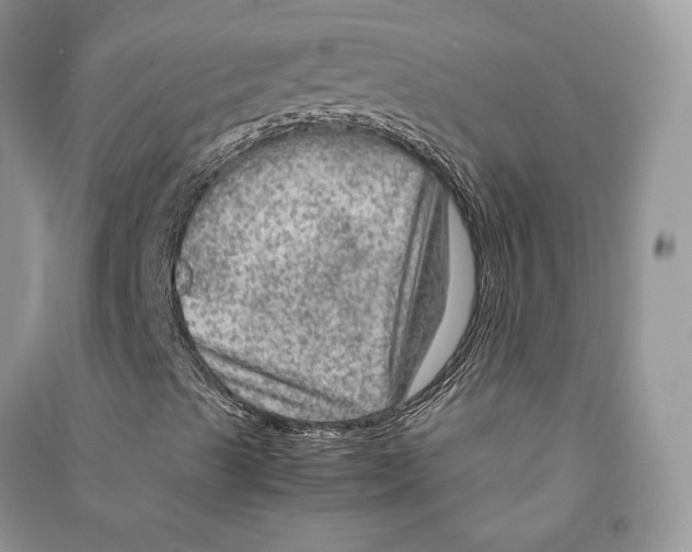 X0000090601489200708141319