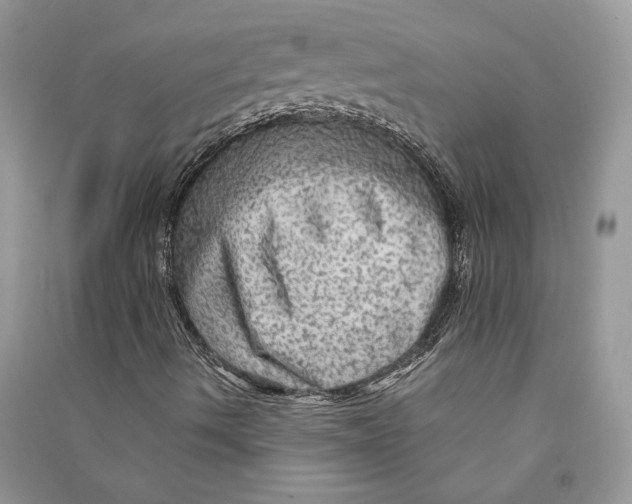 X0000090601490200708141319