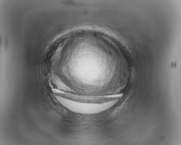 X0000090601494200708141319