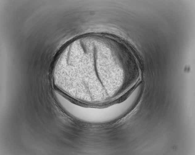 X0000090601497200708141319