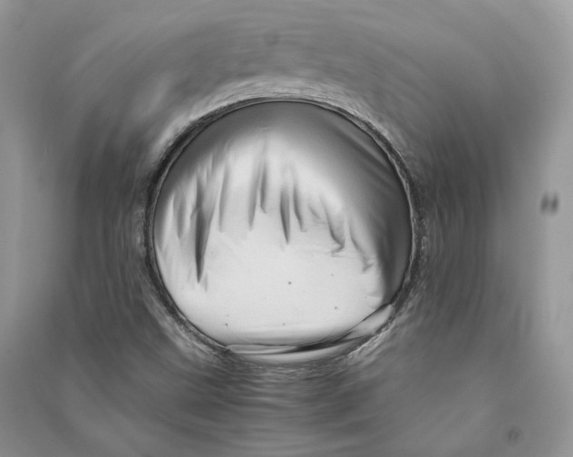 X0000090601499200708141319