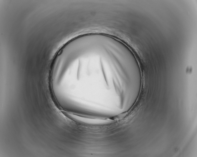 X0000090601500200708141319