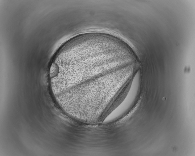 X0000090601501200708141319