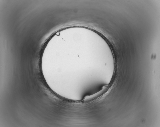 X0000090601502200708141319