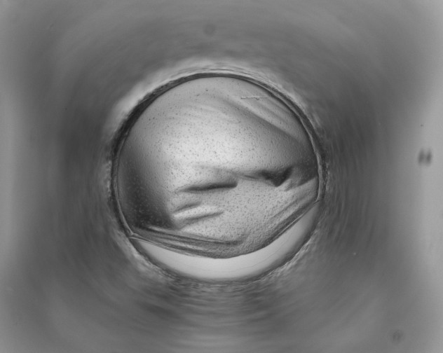 X0000090601503200708141319