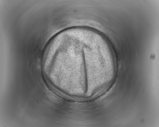 X0000090601505200708141320