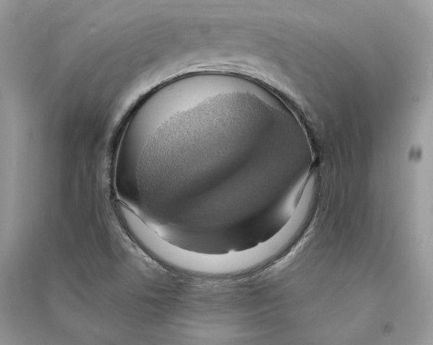 X0000090601506200708141320