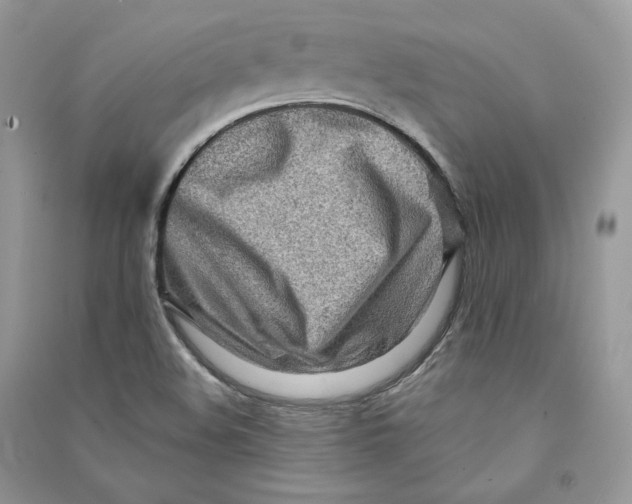 X0000090601508200708141320