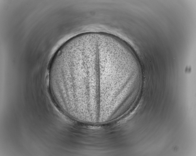 X0000090601509200708141320