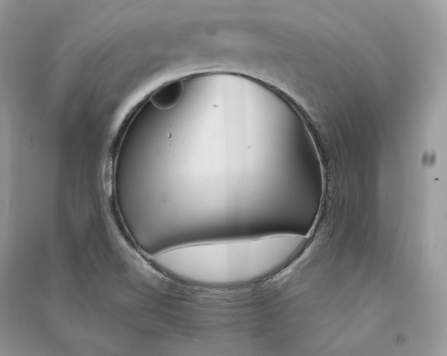 X0000090601510200708141320