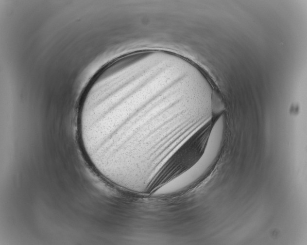 X0000090601511200708141320