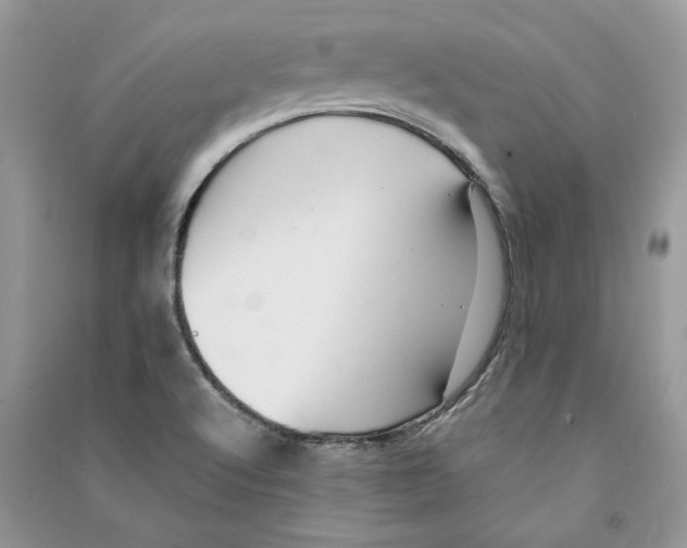 X0000090601512200708141320