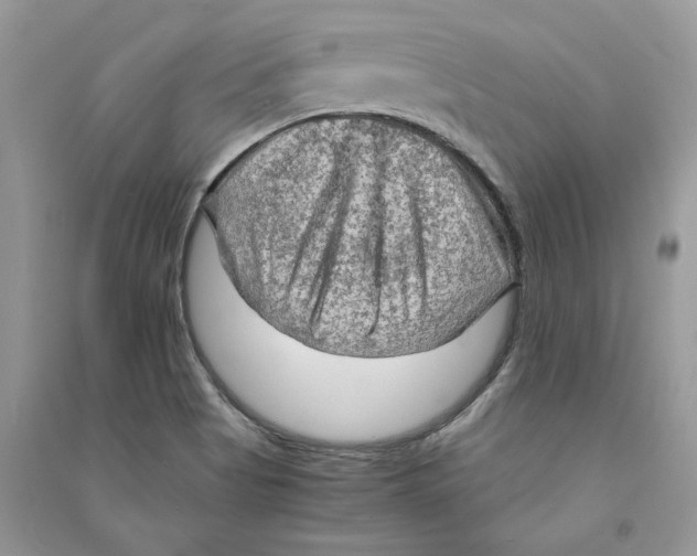 X0000090601513200708141320