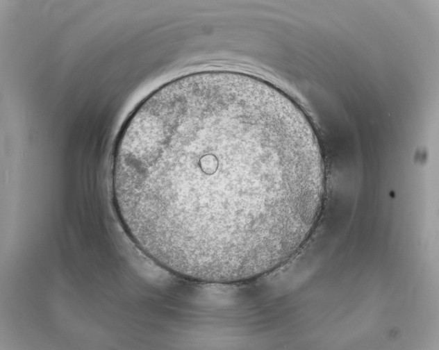 X0000090601514200708141320