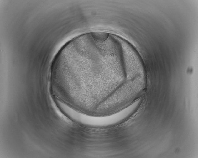 X0000090601515200708141320