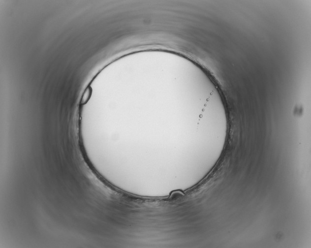 X0000090601516200708141320